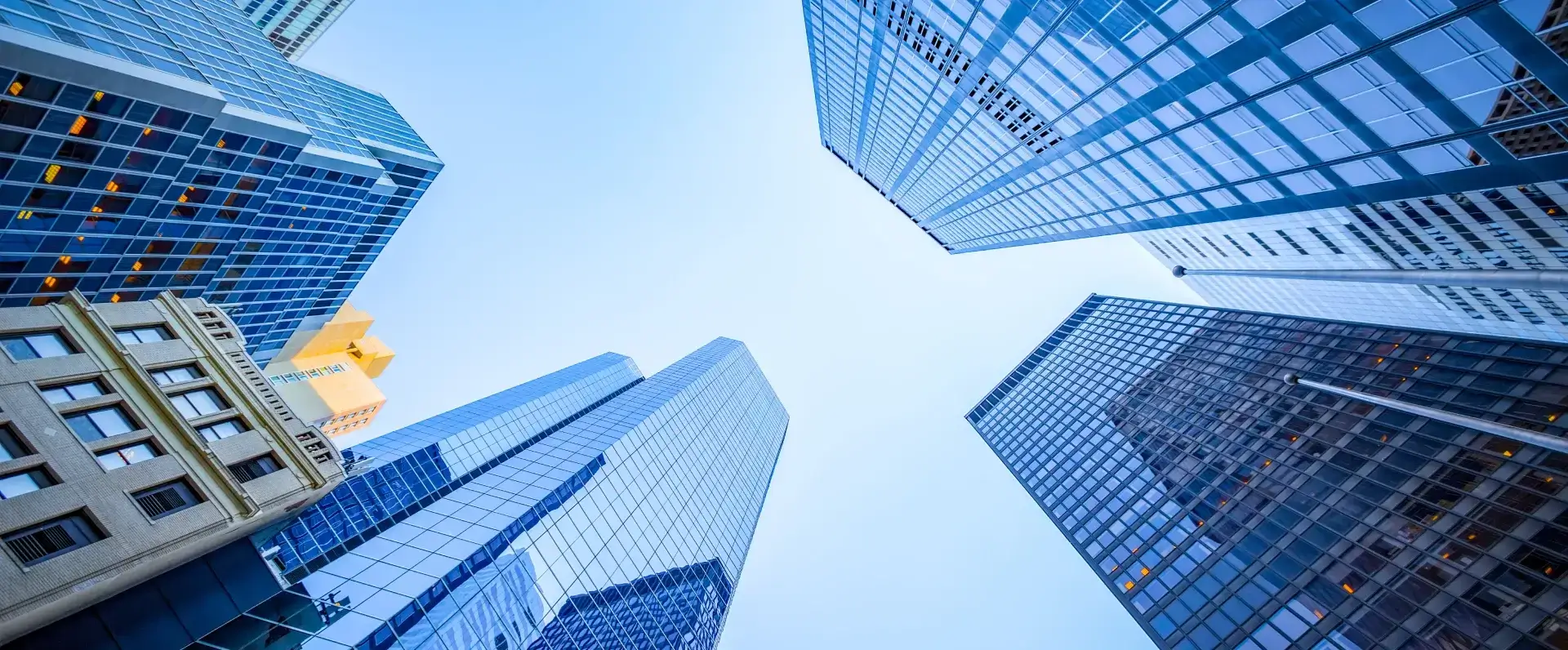 Law Offices of David Triber